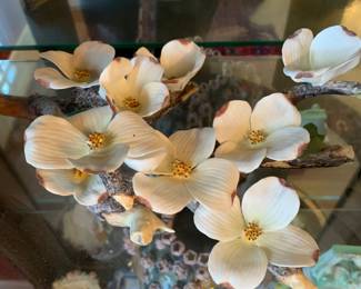 Boehm dogwood blossoms