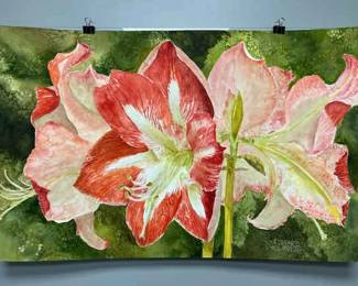 Coral Amaryllis Signed Original Watercolor By Edward Holmberg