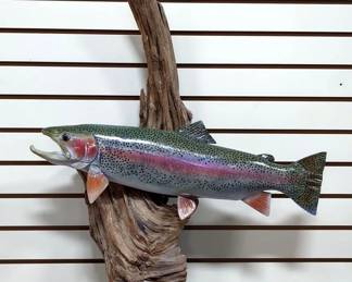 Rainbow Trout Taxidermy Mounted On Driftwood, 24.5" Wide