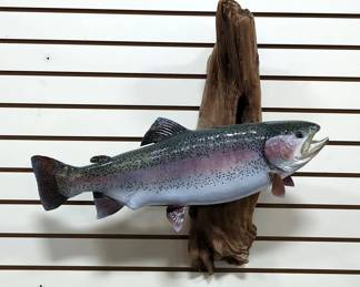 Rainbow Trout Taxidermy Mounted On Driftwood, 25" Wide 