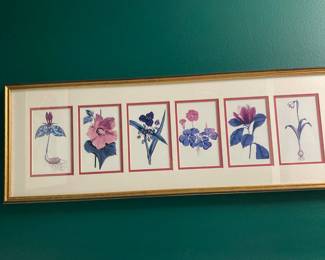 Framed Art Print Of Botanical Illustrations