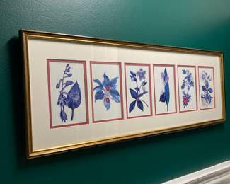 Framed Art Print Of Botanical Illustrations