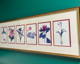 Framed Art Print Of Botanical Illustrations