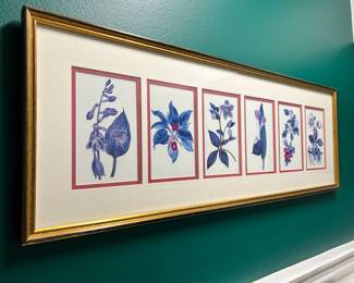 Framed Art Print Of Botanical Illustrations