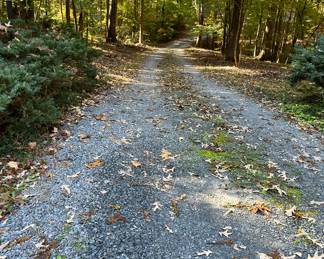 Walk down driveway to the Sale :)