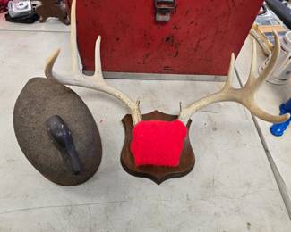 cork decoy and 8 point rack mounted