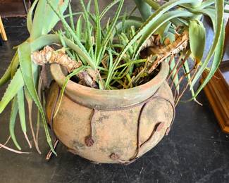 Large terra cotta with decorative iron and aloe plant