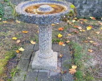 Bird Bath