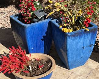 Royal Blue Flower Pots 