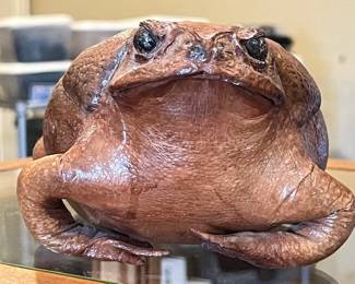 How many stuffed bullfrogs you seen lately?