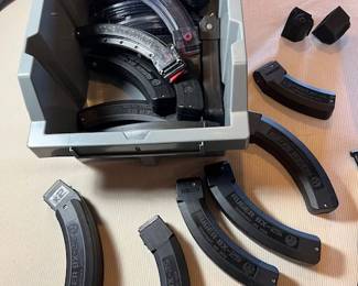 Ruger BX-25 Mags