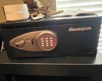 Sentry safe