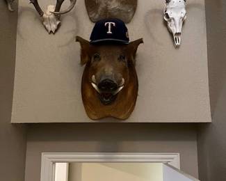 Texas Ranger Fan