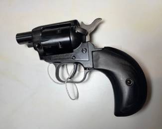 (#29) Heritage Bar Keep .22 Short Barrel