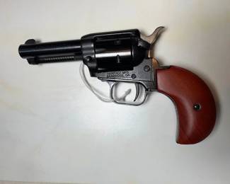 (#27) Heritage Rough Rider .22