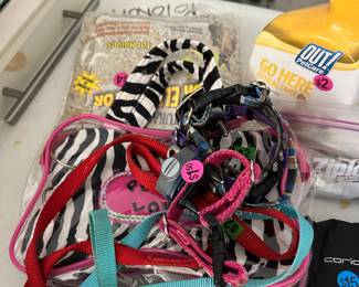 Small dog garnesses, leashes, bark collars and more