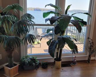 Beautiful selection of faux plants throughout the estate