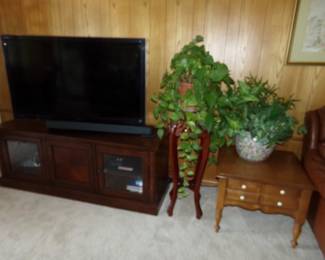 Wood Side Table, Plants in nice Pots, Plant Stand, Entertainment Center, DVD Player, Flat Screen Television