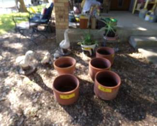 Many Plant Pots