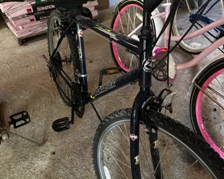 ROAD MASTER MT. CLIMBER