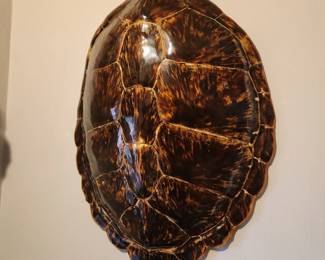 tortoise shell