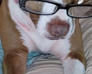 Come see me & Mama & the Kelly Team!! I'm imitating Mama with her awful dollar tree glasses! 