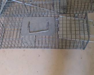 Large and small animal traps come in darling yeah 