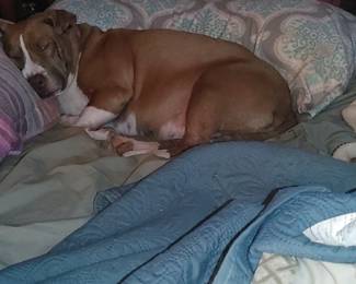 Good night...its 1:00.. even precious worked hard to get this sale together! 