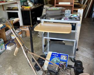 Briggs & Stratton edger