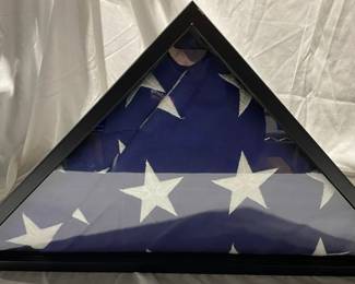 American Flag In Case