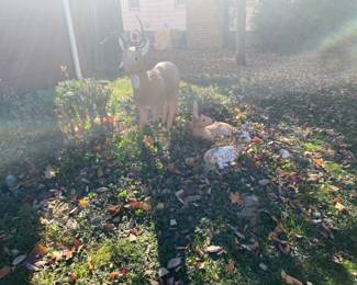 Estate Sales By Olga in Scotch Plains, NJ