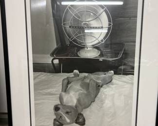 a dog's life Framed Print