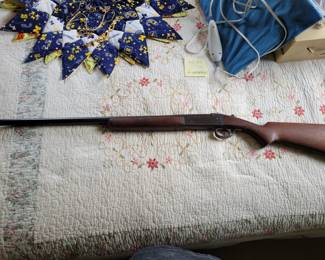 20 gauge 