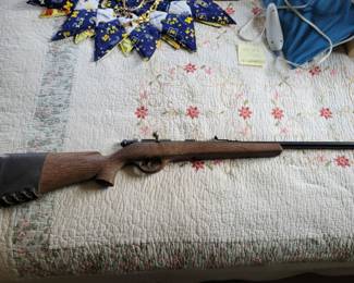 22lr bolt action