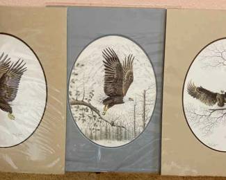 James P Townsend eagle prints