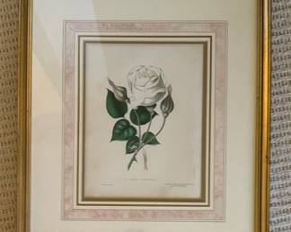 Vintage Rose Botanical. Photo 1 of 2.