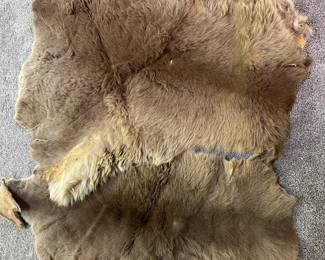 RARE AND UNIQUE! Two KANGAROO PELTS! 