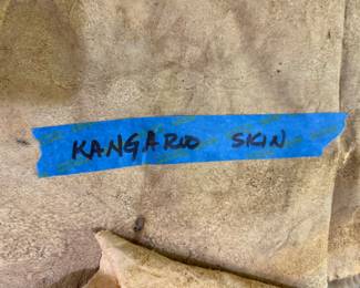 RARE AND UNIQUE! Two KANGAROO PELTS! 
