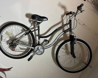 A VERY nice Schwinn Skyline Mountain Bike! Was hanging on the wall in the garage! 
