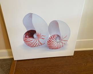 Shell canvas - no frame