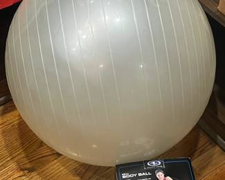 The Body Ball Exercise Ball