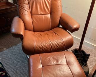 Hjellegjerde of Norway