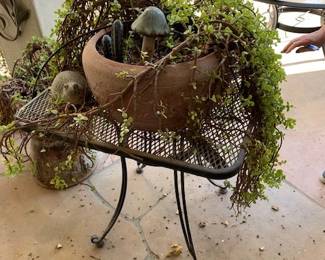 LOTS OF PLANTERS AND PLANTS