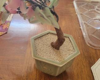 Jade tree