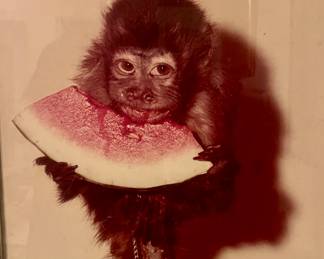 Quite fabulous 1977 color chrome photo by Harry Thomas