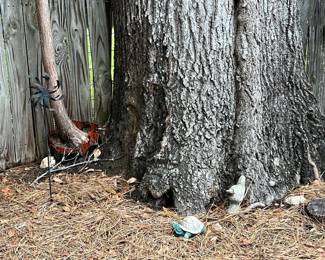 Outdoor decor and plants