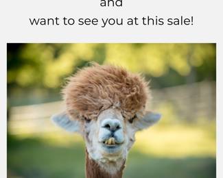 Tell us you saw the alpaca!