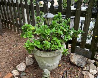 Outdoor decor and plants