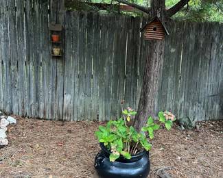 Outdoor decor and plants