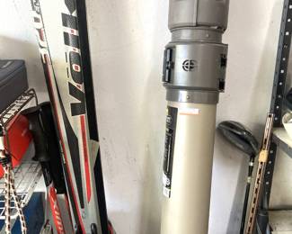 Skis and case